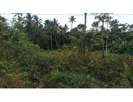 150 cent plot suitable for commercial and residential purposes for sale in Aroor.