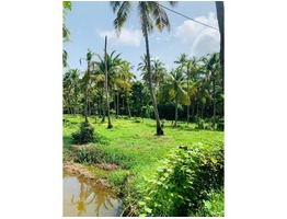 44 cents of Residential Land for Sale at Engandiyur, Thrissur.