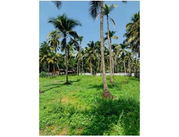 44 cents of Residential Land for Sale at Engandiyur, Thrissur.