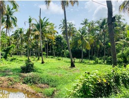 44 cents of Residential Land for Sale at Engandiyur, Thrissur.