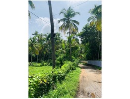 44 cents of Residential Land for Sale at Engandiyur, Thrissur.