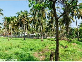 44 cents of Residential Land for Sale at Engandiyur, Thrissur.