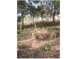 1.81 Acres Land sale at Katcherry kunnu, Peermade, Idukki District.