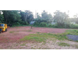 Land in kunhippally, 19000 sqft