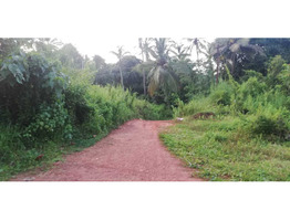 Land in kunhippally, 19000 sqft