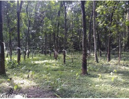 Plot at Marangoly near neezhoor/kaduthuruthy ,Kottayam