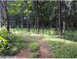 Plot at Marangoly near neezhoor/kaduthuruthy ,Kottayam