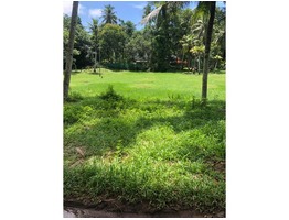 land for sale at cheapest price