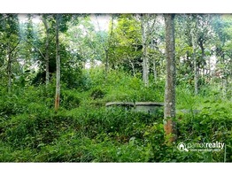 55 cent plot for sale in Manalvayal @ 9.5 lakhs