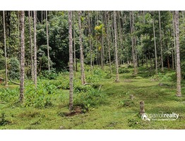 Investment Purpose Land available near Vellamunda @ 12lakh/acre……