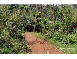 Investment Purpose Land available near Vellamunda @ 12lakh/acre……