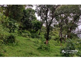 Farm  with 7 acre land available near Vellamunda @ 15 lakhs/acre….