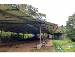 Farm  with 7 acre land available near Vellamunda @ 15 lakhs/acre….