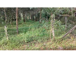 Land Suitable for Residence/Tourism Near Munnar