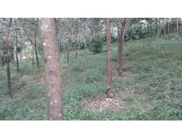 Land Suitable for Residence/Tourism Near Munnar