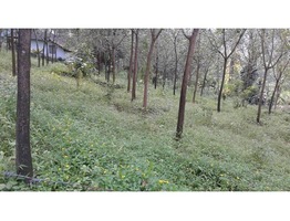 Land Suitable for Residence/Tourism Near Munnar