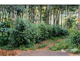 Agriculture land available in Wayanad @ 20 lakh