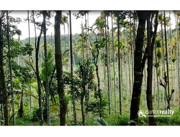 Agriculture land available in Wayanad @ 20 lakh