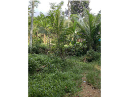 1acre 24 cent old house  for sale at  Padthode, mallapally, pathanathitta.