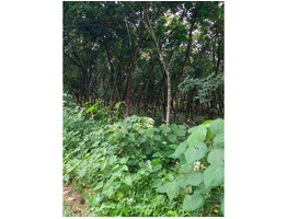 1acre 24 cent old house  for sale at  Padthode, mallapally, pathanathitta.