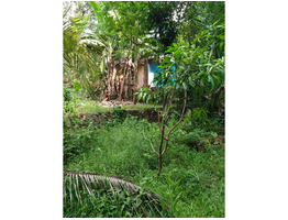 1acre 24 cent old house  for sale at  Padthode, mallapally, pathanathitta.