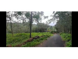 agricultural land for sale in the Kottayam