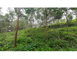 agricultural land for sale in the Kottayam