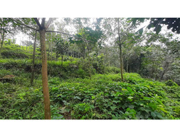 agricultural land for sale in the Kottayam