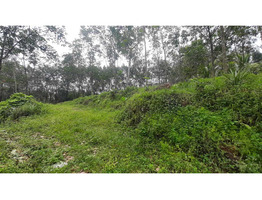 agricultural land for sale in the Kottayam