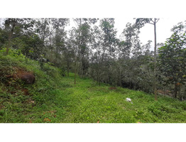 agricultural land for sale in the Kottayam