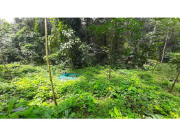 agricultural land for sale in the Kottayam