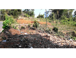 8 cents (3.24 Ares) Original Land in Kakkanad, Ernakulam