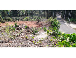 8 cents (3.24 Ares) Original Land in Kakkanad, Ernakulam