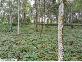 1 acre  land for sale at  koodallor , kottayam.