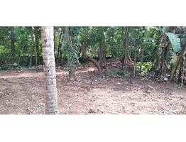 27 cents land/plot for sale in Thenur | Palakkad - Ottapalam State Highway