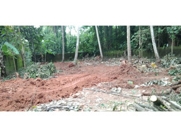 27 cents land/plot for sale in Thenur | Palakkad - Ottapalam State Highway