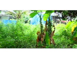 13.5 Cent Land sale at  Thanoor, Malappuram