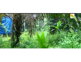 13.5 Cent Land sale at  Thanoor, Malappuram