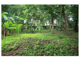 33 cent Land with  Studio apartment  Sale in Thrissur