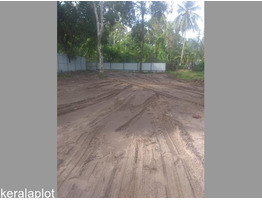 33 Cent Residential Land for Sale in Cherthala