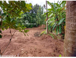 Residential Land for Sale in Kallur, Amballoor, Thrissur