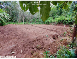 Residential Land for Sale in Kallur, Amballoor, Thrissur