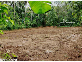 Residential Land for Sale in Kallur, Amballoor, Thrissur