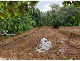 Residential Land for Sale in Kallur, Amballoor, Thrissur