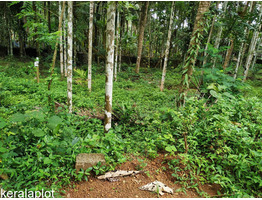 25 cent Land in Pattambi