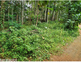 25 cent Land in Pattambi