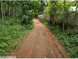 25 cent Land in Pattambi