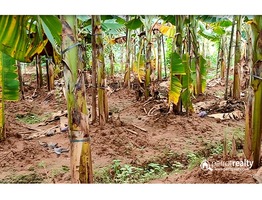 1 acre 40 cent Agriculture land for sale near Moonnanakuzhi @ 40 lakhs