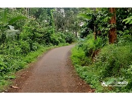 1 acre 40 cent Agriculture land for sale near Moonnanakuzhi @ 40 lakhs