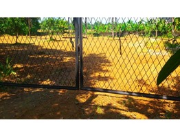 Plot for  sale  at Nedumbassery